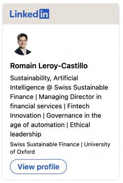 Romain <b>LEROY-CASTILLO