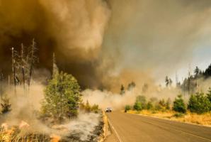 Climate risk is becoming unisurable risk - and that is a systemic threat